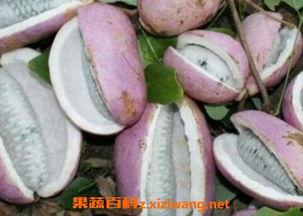 八月瓜能和什么菜一起吃,营养与美味的碰撞
