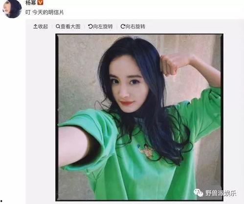 正大光明吃瓜,揭秘娱乐圈幕后真相