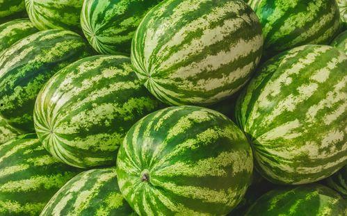 九万吃瓜,揭秘娱乐圈背后的那些事儿