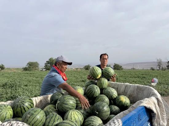 吃瓜伦敦,一场别开生面的“吃瓜”之旅