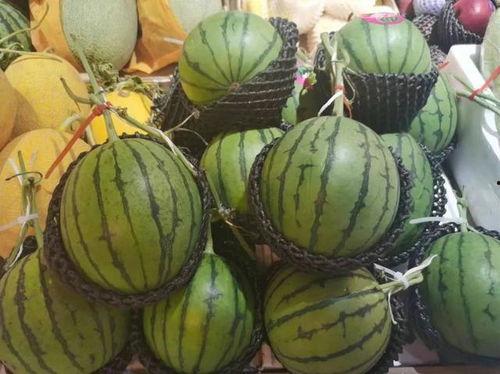 猫王吃瓜,揭秘娱乐圈的幕后故事