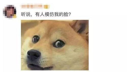 微信吃瓜表情改成吃狗头,微信表情新潮流